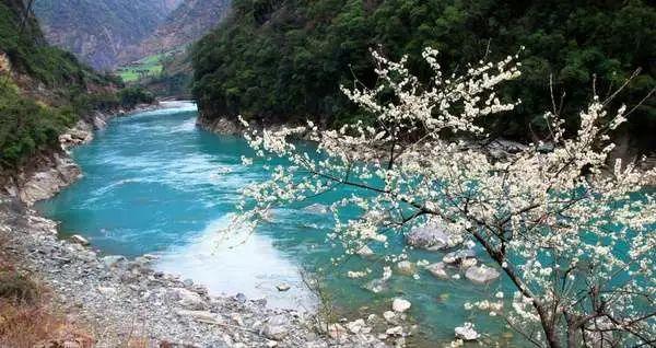 花样馒头的做法大全？游戏画面